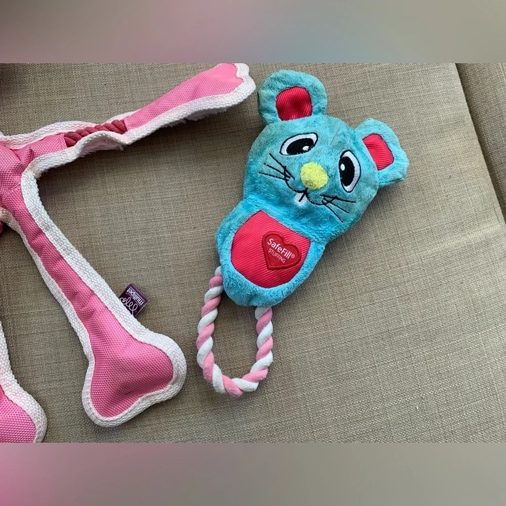 Robe & Squeaky pig dog toy bundle